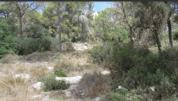 موقع قرية جبع من الشمال