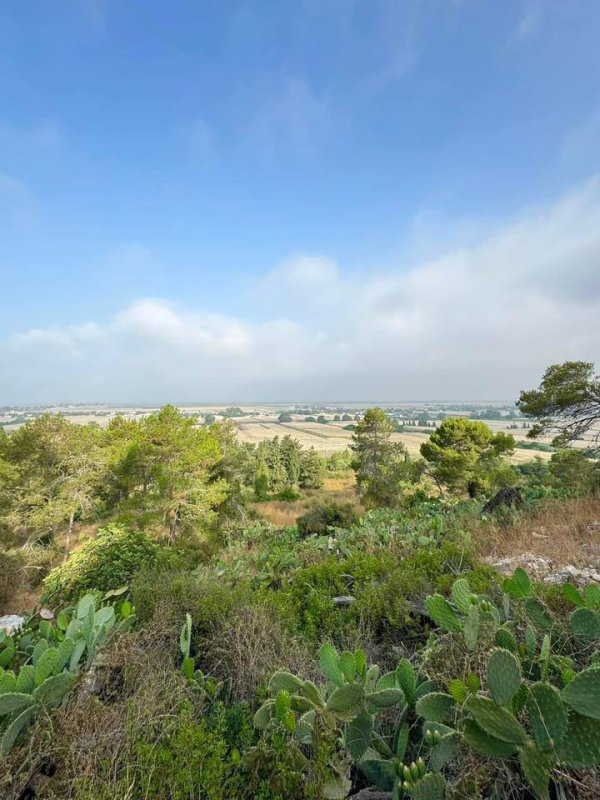 صور حديثة من موقع قرية جبع المهجرة قضاء حيفا، نقلاً عن : أ.سليمان بويرات