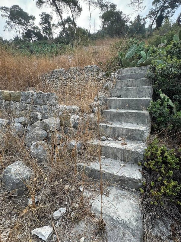 صور حديثة من موقع قرية جبع المهجرة قضاء حيفا، نقلاً عن : أ.سليمان بويرات