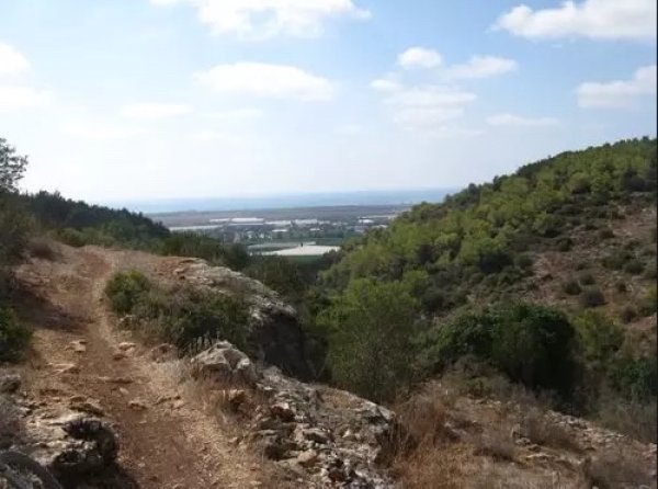 منظر من شرق قرية جبع