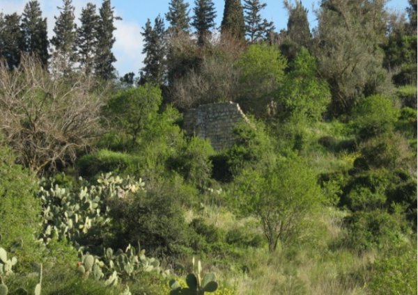 آثار منازل جبع المدمرة