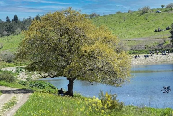  | موسوعة القرى الفلسطينية