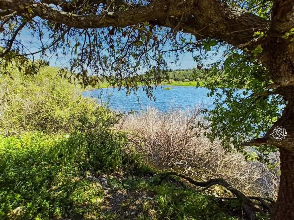  | موسوعة القرى الفلسطينية