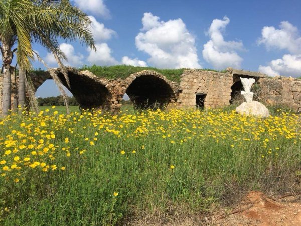  | موسوعة القرى الفلسطينية