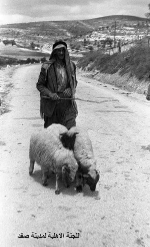  | موسوعة القرى الفلسطينية