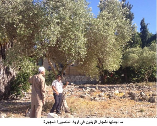  | موسوعة القرى الفلسطينية