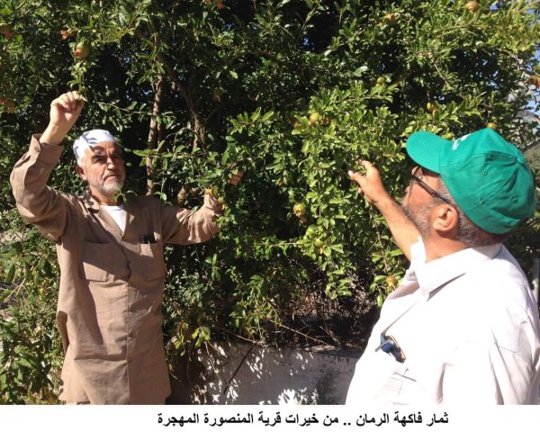  | موسوعة القرى الفلسطينية