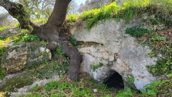  | موسوعة القرى الفلسطينية