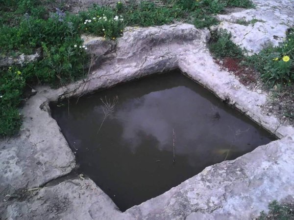  | موسوعة القرى الفلسطينية