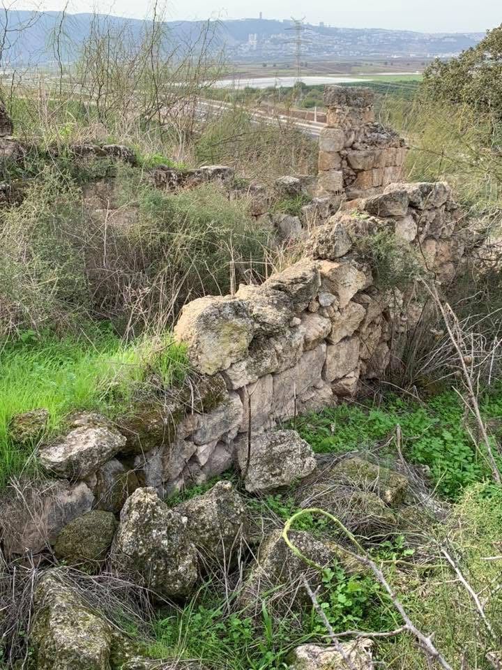  | موسوعة القرى الفلسطينية