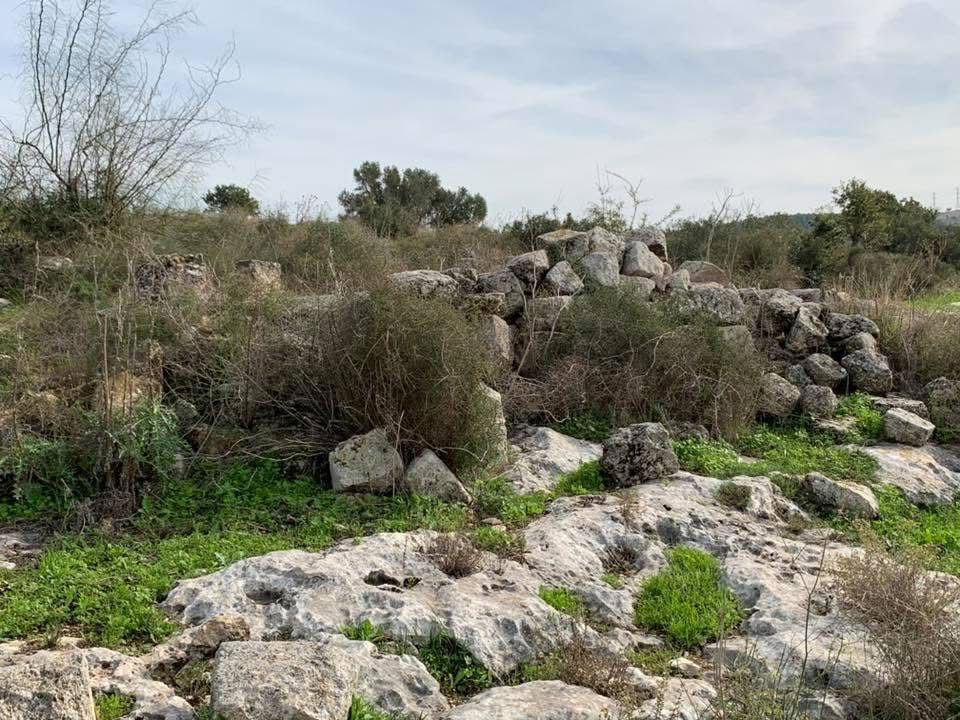  | موسوعة القرى الفلسطينية