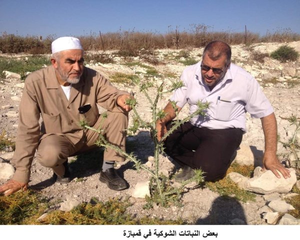  | موسوعة القرى الفلسطينية