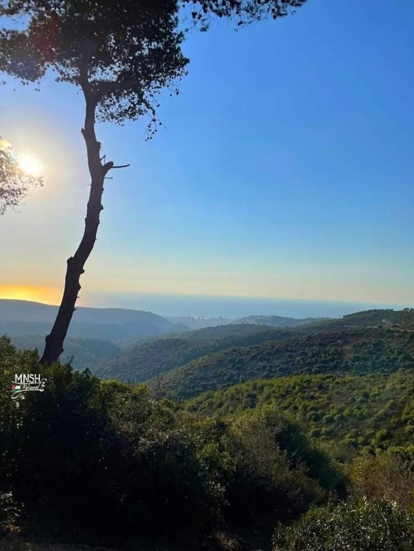 قرية الخريبة