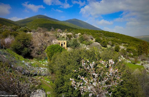 جبل الجرمق وأراضي قرية ميرون المهجرة غربي مدينة صفد، بعدسة: واجد نوباني