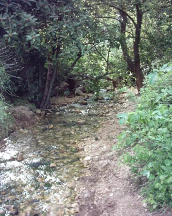 نبع في أراضي قرية مارون بعدسة قيس فحماوي