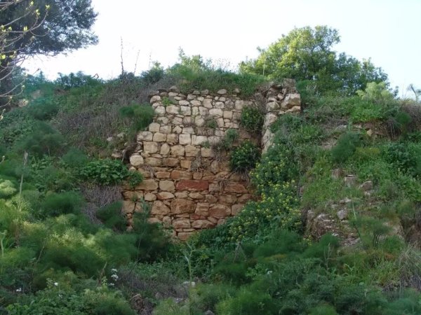 بقايا جدار بالقرب من معصرة الزيتون بعدسة مقبولة نصار