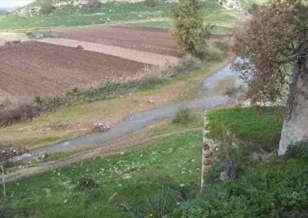 قرية الخوالد