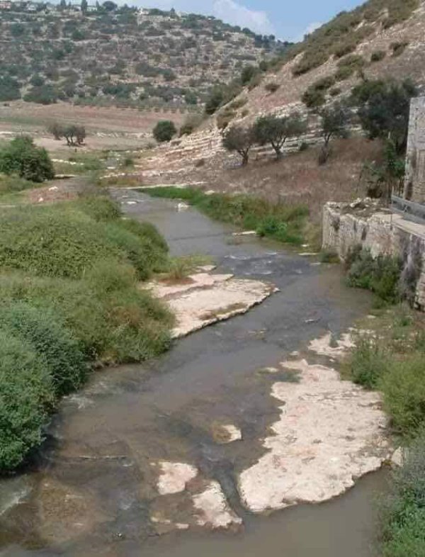 قرية الخوالد