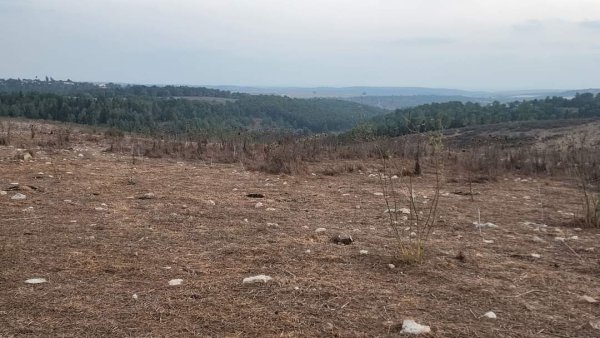  | موسوعة القرى الفلسطينية