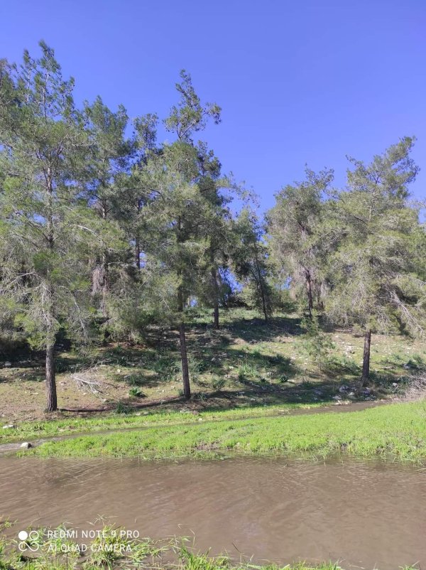  | موسوعة القرى الفلسطينية