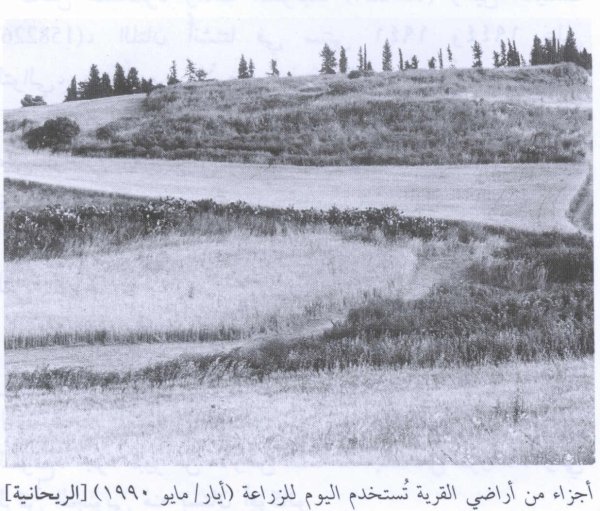  | موسوعة القرى الفلسطينية