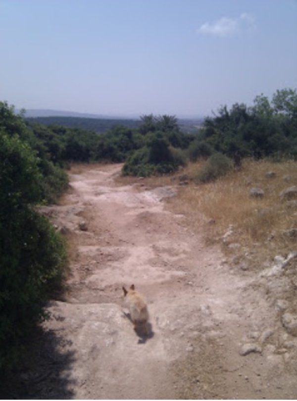  | موسوعة القرى الفلسطينية