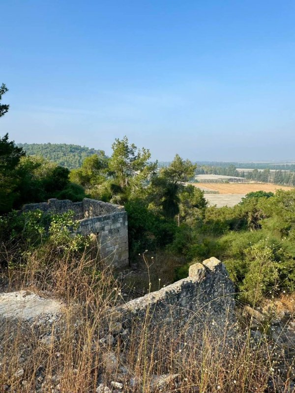 صور حديث من موقع قرية السوامير قضاء حيفا، نقلاً عن: أ. سليمان بويرات