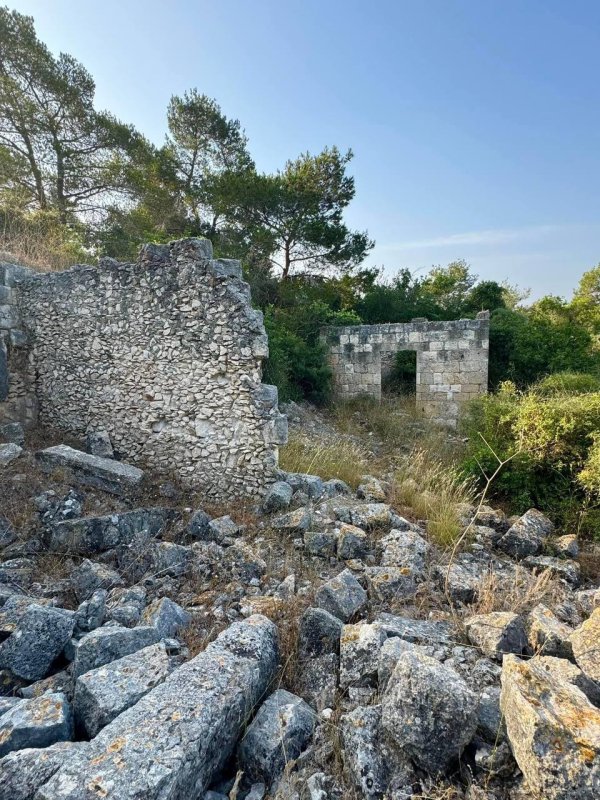 صور حديث من موقع قرية السوامير قضاء حيفا، نقلاً عن: أ. سليمان بويرات