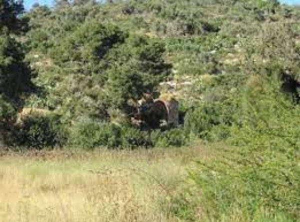 قرية السوامير/ خربة السوامر