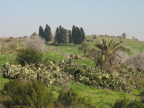  | موسوعة القرى الفلسطينية