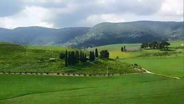  | موسوعة القرى الفلسطينية