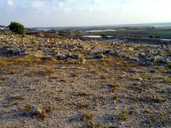  | موسوعة القرى الفلسطينية