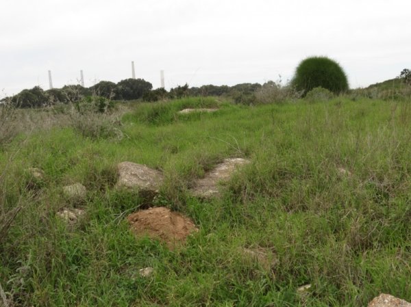  | موسوعة القرى الفلسطينية