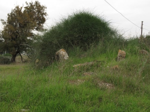  | موسوعة القرى الفلسطينية