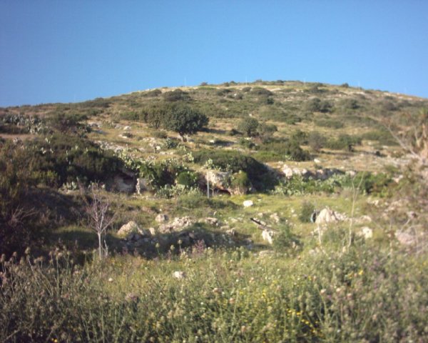 من أراضي قرية طيرة الكرمل