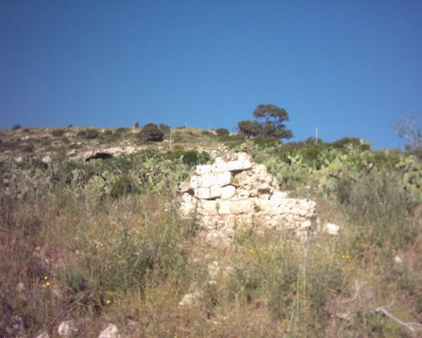 من أراضي قرية طيرة الكرمل