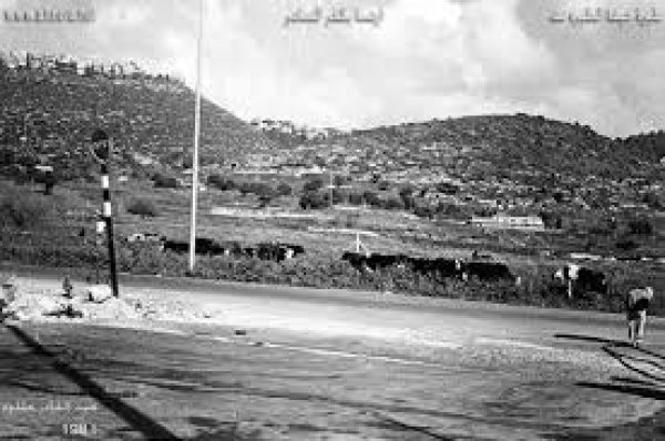 طيرة الكرمل