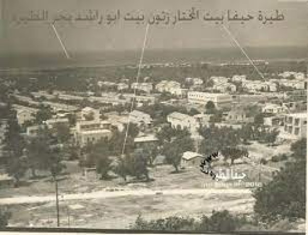 طيرة الكرمل