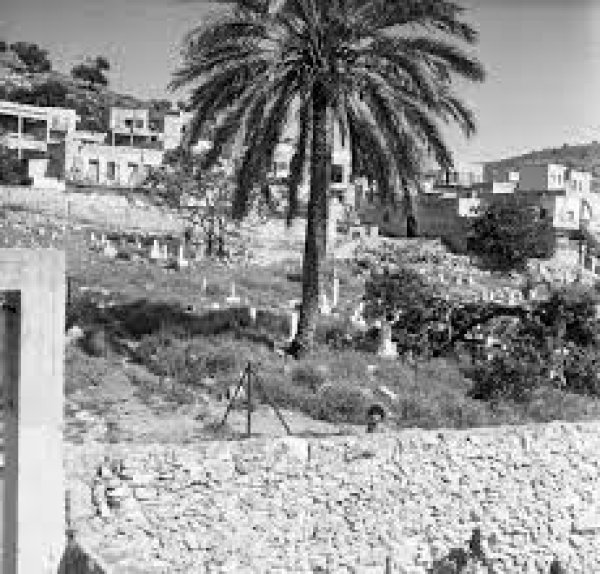 طيرة الكرمل