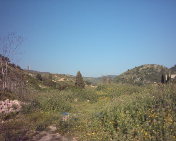 منظر لأراضي القرية من الجهة الشرقية