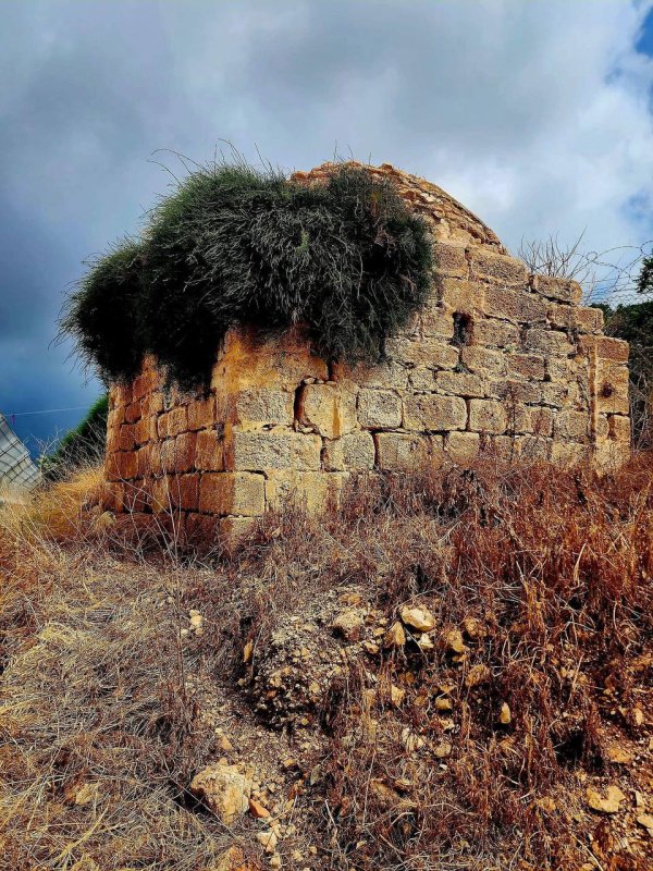 مقام  الشيخ خليل ومقبرة قرية طيرة اللوز قضاء حيفا، بعدسة : أ. نبيلة سالم