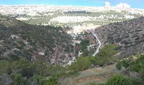 طيرة الكرمل