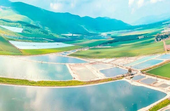 قرية الأشْرَفِيَّة/ أشْرَفِيَّة عبد الهادي / بيسان، موسوعة القرى الفلسطينية