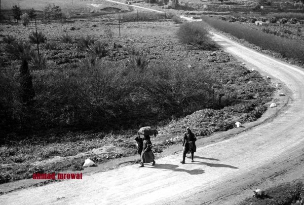  | موسوعة القرى الفلسطينية