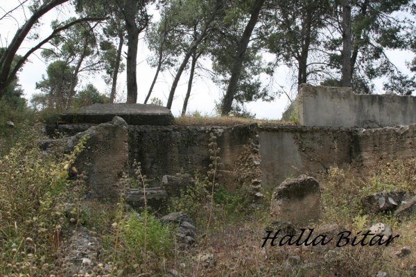  | موسوعة القرى الفلسطينية