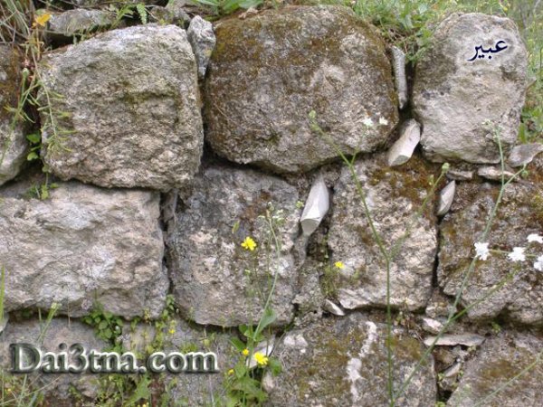  | موسوعة القرى الفلسطينية