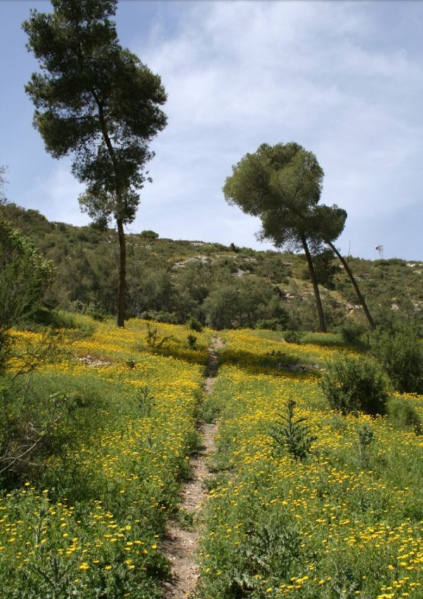  | موسوعة القرى الفلسطينية