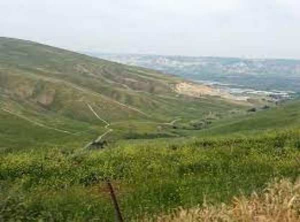 قرية الحميدية