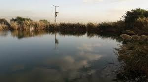 قرية الحميدية