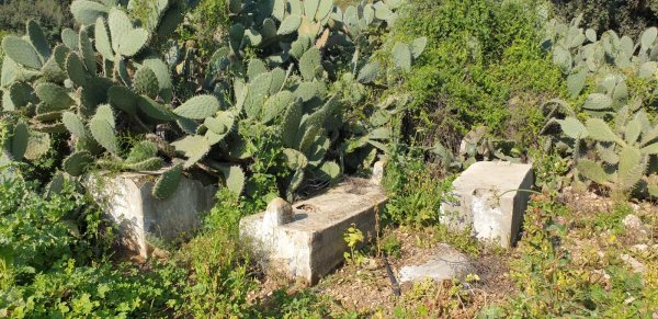 موقع مقبرة قرية ياجور